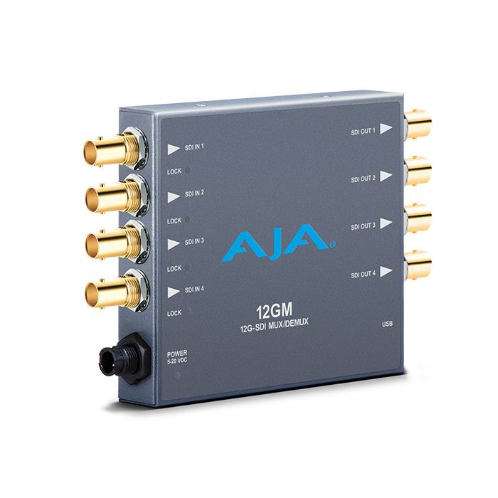 AJA 12GM Muxer/DeMuxer