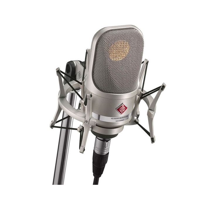 Neumann TLM 107 microphone with EA4 Mount