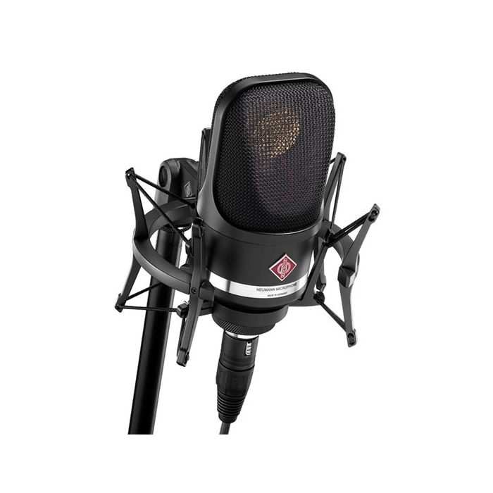 Neumann TLM 107 Microphone with EA4 Mount