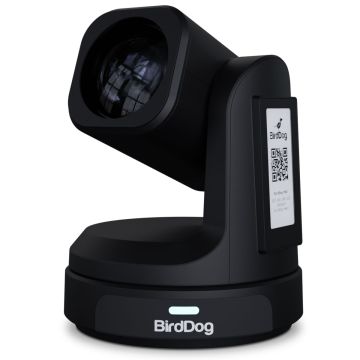 BirdDog MAX - Black