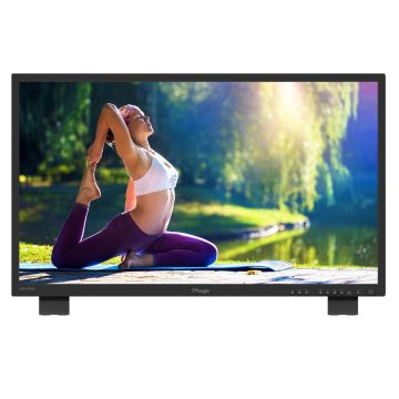 TV Logic LUM-430M2