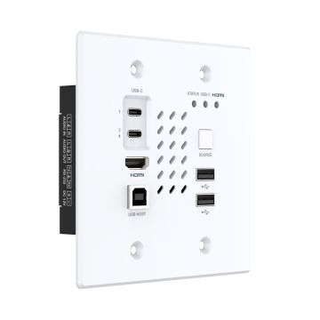 Turtle AV Chazy 4K Wall Plate